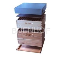 Hives single walled dadant 12